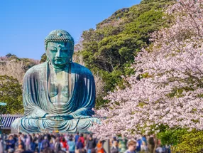 日本傳統文化協會 6